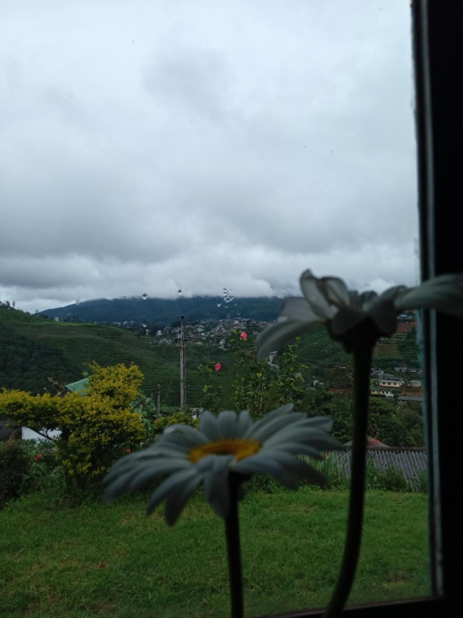 נוארה אליה Mount View Cottage מראה חיצוני תמונה